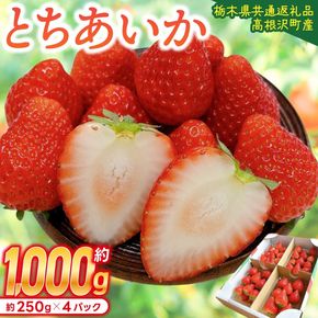 【順次発送】栃木県産 とちあいか 合計1,000g (250g以上×4パック) 農家直送 家庭用 和饗エコファーム【栃木県共通返礼品/高根沢町産】｜栃木県 ふるさと納税 いちご イチゴ 苺 果物 フルーツ とちあいか 熟成 (DW001)