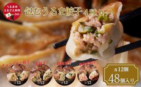 包むうるま餃子 4種セット（島餃子・鶏塩餃子・チャンプルー餃子・車海老餃子）