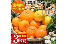 ＜先行予約受付中！2026年2月中旬～5月上旬の間に発送予定＞柑橘類おたのしみBOX(約3kg・3種類以上) 柑橘 果物 数量限定 期間限定 国産 フルーツ 詰め合わせ セット 遠見半島 宮崎県 門川町 【勝農園】【AE-22】