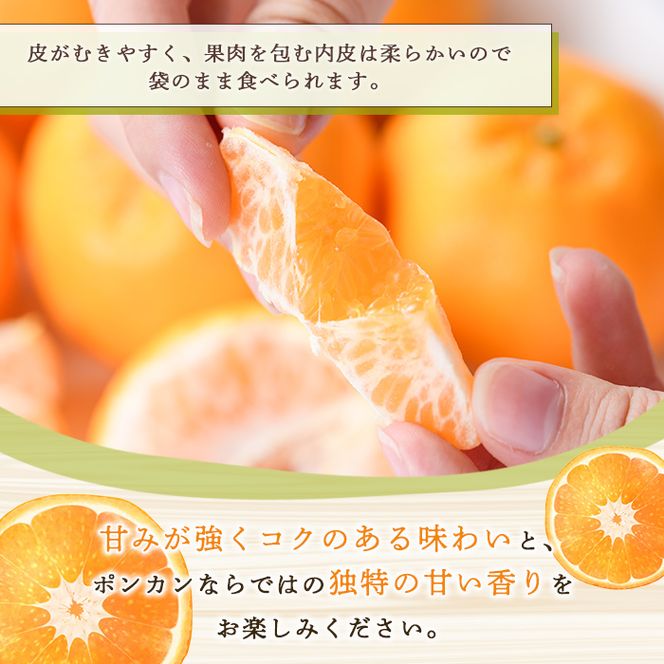 ＜先行予約受付中！2026年12月下旬以降順次発送予定＞ 訳あり！ポンカン(約8kg) 国産 ポンカン 柑橘 果物 フルーツ デザート 果実 期間限定 数量限定【古田果樹園】akn093-05