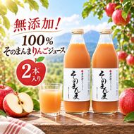 りんごジュース 無添加！ 100% そのまんま りんごジュース 2本入り | 飲料 ジュース 果実飲料 りんご ジュース 無添加 ストレート 長野県 伊那市 【011-d2】