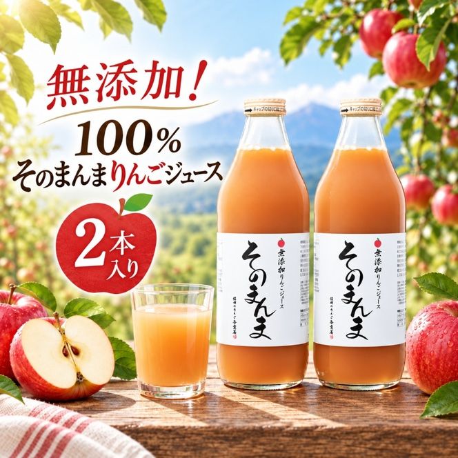 りんごジュース 無添加！ 100% そのまんま りんごジュース 2本入り | 飲料 ジュース 果実飲料 りんご ジュース 無添加 ストレート 長野県 伊那市 【011-d2】