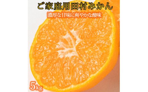 【ご家庭用訳あり】田村みかん　5kg　※2026年11月下旬～2027年1月下旬頃に順次発送予定(お届け日指定不可) 訳ありみかん 温州みかん【uot754A】