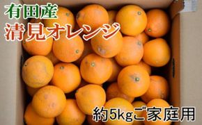 【先行予約】【濃厚】有田産 清見 オレンジ 5kg(サイズおまかせまたは混合) ご家庭用　 / みかん オレンジ 和歌山 有田みかん 柑橘 フルーツ 果物 ※2027年3月上旬～3月下旬頃発送予定（お届け日指定不可）【tec011-c-5】