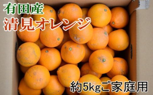 【先行予約】【濃厚】有田産 清見 オレンジ 5kg(サイズおまかせまたは混合) ご家庭用　 / みかん オレンジ 和歌山 有田みかん 柑橘 フルーツ 果物 ※2027年3月上旬～3月下旬頃発送予定（お届け日指定不可）【tec011-c-5】