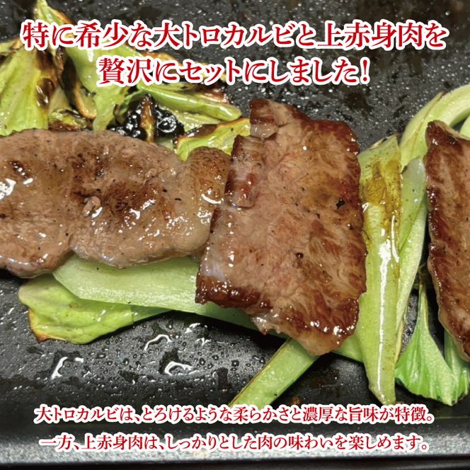 【数量限定】【最短7日発送】黒毛和牛 常陸牛 大トロカルビ(約100g) 上赤身肉(約100g)セット｜肉 牛肉 和牛 国産 茨城県産 すぐ 届く(HI-1)