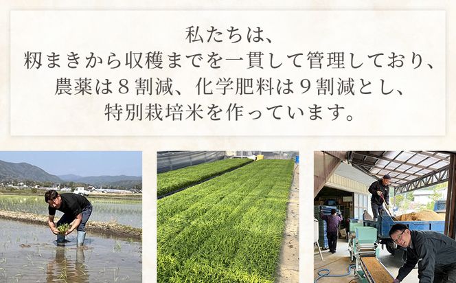 【令和8年8月下旬発送】特別栽培米 ミルキークイーン 10kg 高知県香南市産 sr-0003
