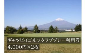 G15ギャツビイゴルフクラブプレー利用券　2枚 【小山町内 ゴルフ場 共通利用券】
