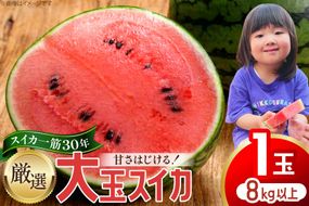 AJ698 【令和8年出荷分】 Farm honda 大玉スイカ 1玉 8kg以上 [ スイカ すいか 西瓜 大玉すいか 肥後浪漫 羅皇ザ・スイート 羅王 ラオウ らおう あまい 本多光則農園 長崎県 島原市]