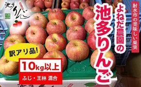 【射水のおいしい果実】【林檎】 よねだ農園の池多りんご ふじ・王林 訳アリ品10kg以上 ※沖縄・離島への配送不可 ※2025年11月中旬～12月中旬頃に順次発送予定