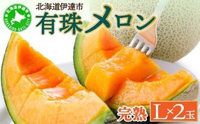 ＜2026年先行予約＞北海道産 有珠メロン 2玉 セット 赤肉 Lサイズ 1.6kg以上×2玉 ツル付き レッドルピア 果物 めろん フルーツ くだもの 完熟 旬 ご褒美 ギフト お祝い 産地直送 お取り寄せ 北海道 藤川農園 送料無料 伊達