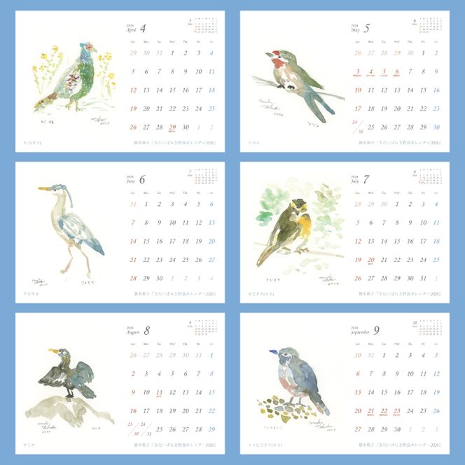 【数量限定】【徳本萌子】きたいばらき 野鳥カレンダー（2026年4月はじまり）【ポストカード 卓上 絵 水彩画 風景画  渡り鳥 自然 インテリア 北茨城市 茨城県】(DK001)