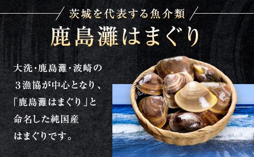 大洗産鹿島灘天然はまぐり 5kg 冷蔵 漁協直送 お吸い物 ハマグリ 蛤 貝 砂抜き処理 魚介類 大洗産 天然 はまぐり