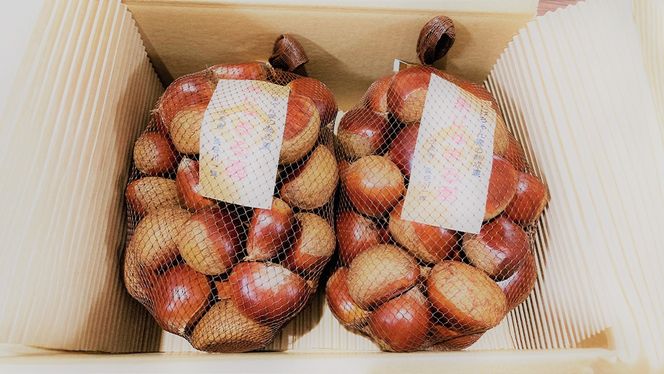 【 2025年9月中旬発送開始 】石岡 鶴沼 の 生栗 約3kg （茨城県共通返礼品：石岡市） 栗 くり クリ マロン 栗ごはん 栗ご飯 贈答 ギフト 秋の味覚 果物 フルーツ 数量限定 旬 秋 冬 正月 国産 秋 旬 旬の栗 お菓子作り 冷凍保存 先行予約 [EU003us]