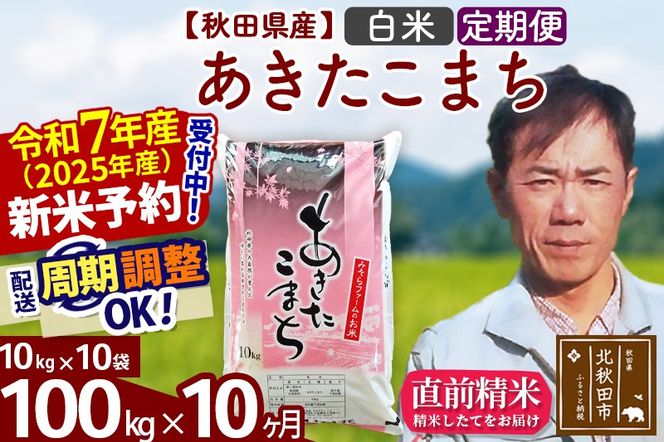 ※令和7年産 新米予約※《定期便10ヶ月》秋田県産 あきたこまち 100kg【白米】(10kg袋) 2025年産 お届け周期調整可能 隔月に調整OK お米 みそらファーム|msrf-11710