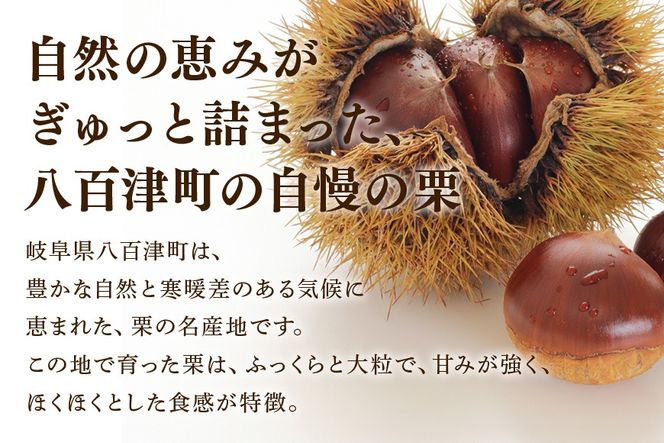 405. 秋冬の銘菓 栗きんとん 10個入り（藤乃屋）