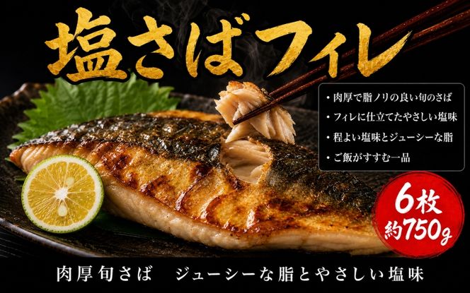  迷ったらコレ！！魚鶴商店の天然紅サケ1kg & 塩さばフィレ6枚セット / サバ 塩サバ 冷凍 切り身 サケ 鮭 ※離島への配送不可【uot744B-1】