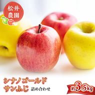 りんご サンふじ シナノゴールド 詰め合わせ 約3.5kg フルーツ 果物 甘い 林檎 セット