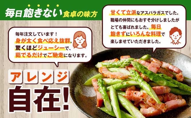 【2027年5月～発送】北海道 富良野産 露地 グリーン アスパラ L～Mサイズ混合 約1kg 野菜 アスパラガス