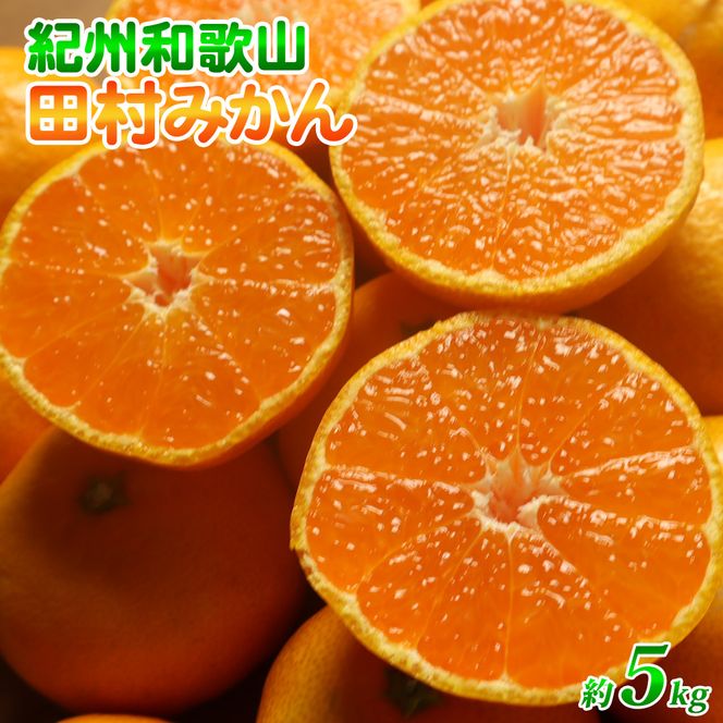 G7340_【2026年11月下旬より発送】高級ブランド 田村みかん 5kg