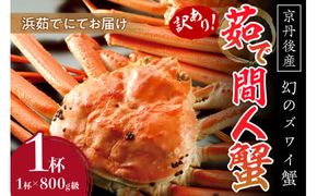 【訳あり！！幻のズワイ蟹】　　京丹後産　茹で間人蟹　鮮度抜群、浜茹でにてお届け！！ 800g級（足1本落ち）×1杯　YK00070