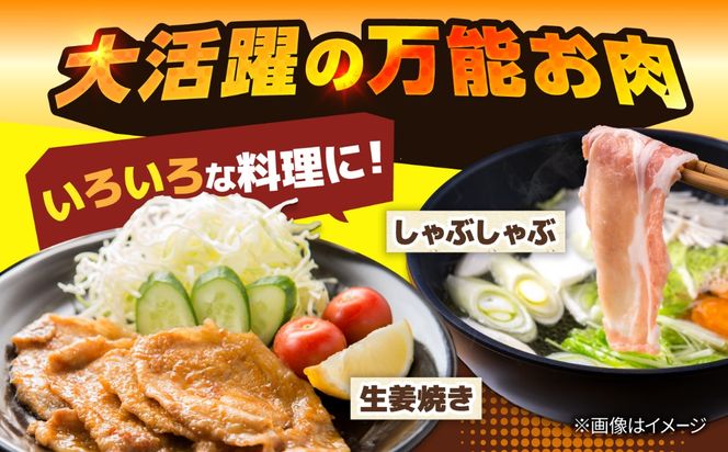 沖縄県産豚肩ローススライス 900g 豚肉 ポーク 冷凍 小分け 国産 沖縄県産 しゃぶしゃぶ 焼肉 沖縄市 / 丸市ミート[BCEQ001]