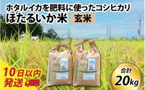 【訳あり】ほたるいか米（玄米20kg）【通年発送】