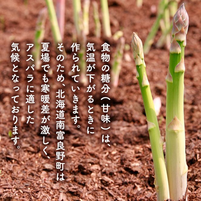 【2027年発送】北海道南富良野町 アスパラ 2kg L-2Lサイズ 混合 トマト農家 鳥羽農園の作る 新鮮 野菜 産地直送 甘い ジューシー ふるさと納税 送料無料