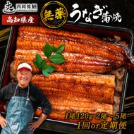 国産 うなぎ 蒲焼 1尾 120g 2尾 ~ 5尾 1回 2回 ～ 5回 定期便 高知県産 無添加 ▼ 国産 うなぎ 鰻 ウナギ 蒲焼 うなぎ 蒲焼き うなぎ タレ 山椒 付き うなぎ ウナギ 鰻 冷凍 鰻 うなぎ ウナギ 鰻 人気 ウナギ うなぎ おすすめ うなぎ おいしい unagi うなぎ