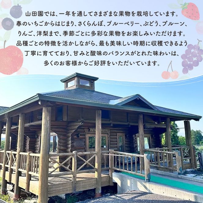 北海道 仁木町産 あかね りんごジュース 720ml×2本　[ ジュース りんご リンゴ 林檎ジュース フレッシュ ]