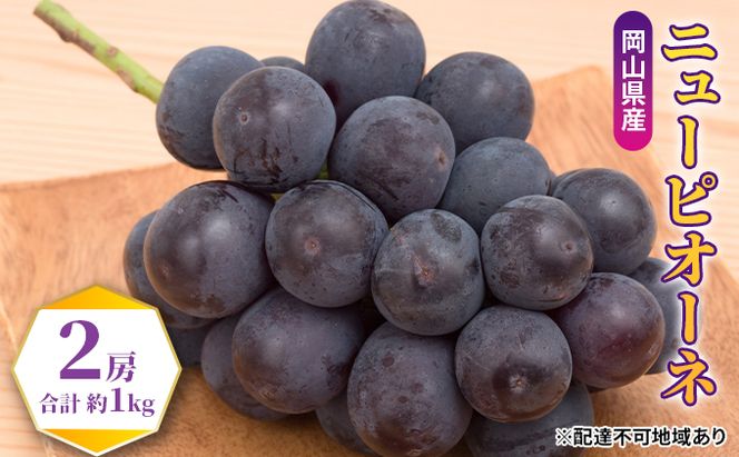 ぶどう 2026年 先行予約 ニュー ピオーネ 2房（合計約1kg） ブドウ 葡萄 岡山県産 国産 フルーツ 果物 ギフト ブドウ 