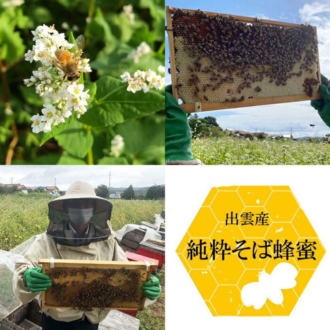 神の国 出雲産 純粋そば蜂蜜 120ｇ×2瓶 合計240ｇ 322032_GM001