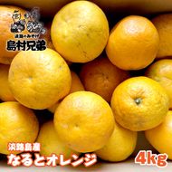 淡路島産　なるとオレンジ　4ｋｇ