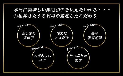 鉄板焼 石垣島きたうち牧場 銀座店お食事券 ≪石垣市ふるさと納税返礼品3万円コース≫【 沖縄 石垣 きたうち牧場 プレミアム ビーフ 和牛 牛肉 コース 鉄板焼 お食事券 チケット 銀座 】AM-31