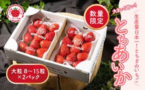 いちご 甘さ際立つ新品種 『とちあいか』 大粒 8～15粒×2パック 先行予約 58ロハスファーム【58ロハスクラブ】 ※2027年1月～発送