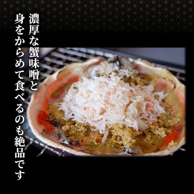 かに 訳あり 期間限定 茹で 越前ガニ 約600g～700g未満1杯 ボイルカニ ボイル 魚介類
