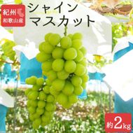 紀州有田産シャインマスカット　約2kg【先行予約】【2026年8月下旬以降発送予定】 AN022