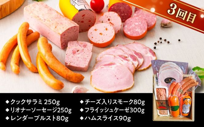 【全3回定期便】本場ドイツで連続金賞受賞！本格 ウインナーの バラエティ 定期便 ( ウインナー / ハム / 生ウインナー / 生ハム ) 糸島 / 糸島手造りハム バラエティーセット [AAC009] 贈り物 のし対応 BBQ キャンプ アウトドア 焼肉 お中元 お歳暮 おつまみ