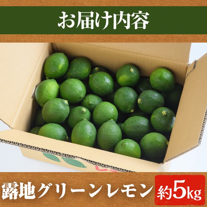 ＜先行予約受付中！2026年8月中旬以降順次発送予定＞数量限定！露地マイヤーグリーンレモン(5kg) 国産 檸檬 グリーンレモン 果実 果物 フルーツ 柑橘 デザート【桐野柑橘株式会社】akn070-17