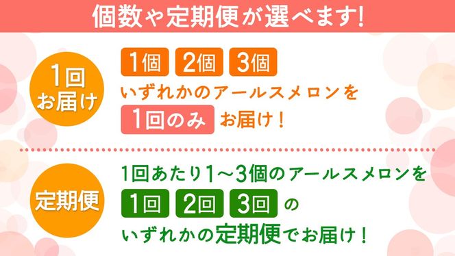 ＼ 玉数とお届け回数が選べる ／ 赤肉アールスメロン 1玉 / 2玉 / 3玉 アールスメロン 赤肉 ギフト 高糖度 甘い フルーツ 誕生日 プレゼント ギフト 贈り物 父の日 母の日 1回 / 2回 / 3回 / 6回 / 12回