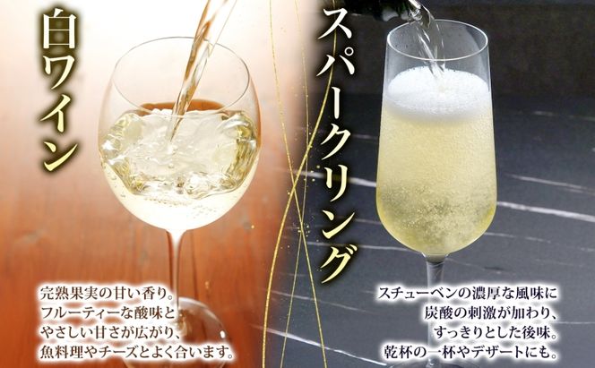 スチューベンワイン 白 720ml ＆ スパークリング 500ml セット ワイン 白ワイン スパークリングワイン 果実酒 ぶどう酒 青森県産 スチューベン 完熟 晩酌 家飲み 詰め合わせ ギフト 贈答用 パーティー 記念日 洋酒 地酒 青森県 鶴田町