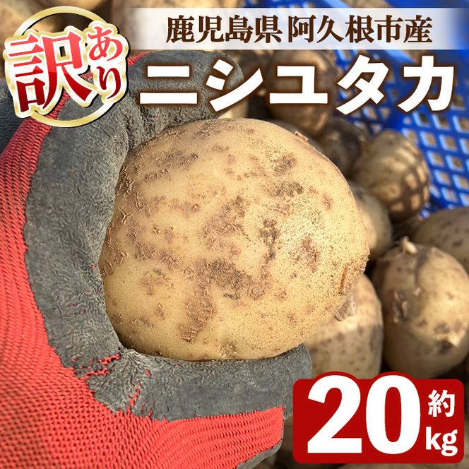 ＜先行予約受付中！2026年6月以降順次発送予定＞訳あり！じゃがいも ニシユタカ(20kg) 国産 鹿児島県産 阿久根市産 じゃがいも ジャガイモ 芋 ポテト にしゆたか 訳アリ 野菜 ポテトサラダ コロッケ 常温 常温配送 【慶越農園】akn107-08