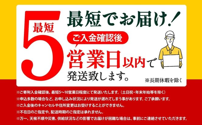 米 ゆめぴりか【 数量限定 限定寄附額 最短 5営業日以内発送 】 令和7年産 北海道 月形町産 10kg(5kg×2袋) 白米 お米 こめ コメ おこめ 最短配送 特A 北海道産 北海道米