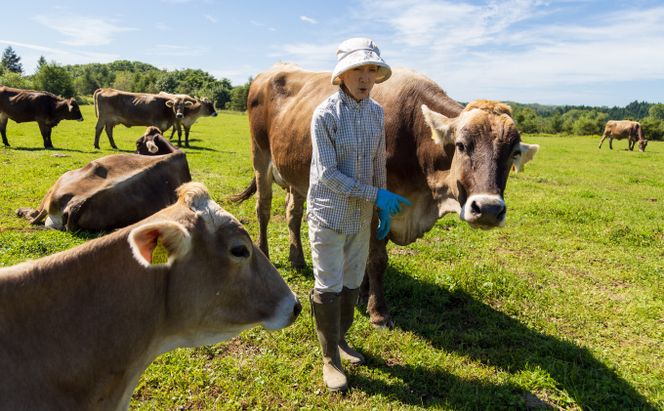 デザート感覚で食べる「湖水地方牧場の白いチーズとオリジナルバウムクーヘン」のペアリング提案 お菓子 スイーツ 乳製品 焼き菓子 セット 熟成 フレッシュチーズ 北海道産 おやつ 
