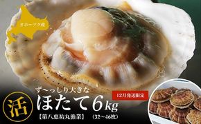 【12月発送限定】オホーツク産 『活』 ほたて 6kg（32～46枚） SRMN029 
