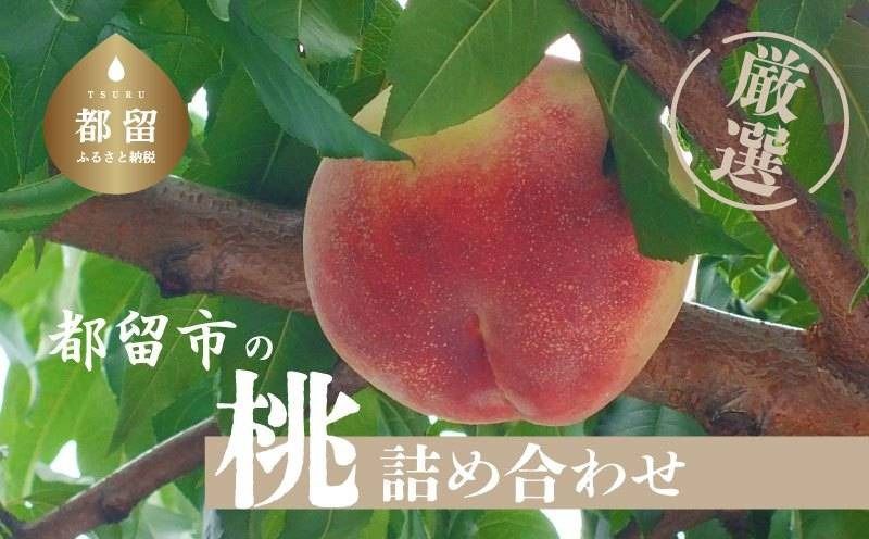 [2025年先行予約]都留市産 厳選 桃 詰め合わせ