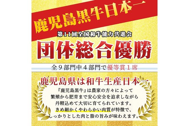a1126 ＜K-105＞ 鹿児島黒牛サーロインステーキ(計400g)【あいら農業協同組合】 姶良市 国産 鹿児島県産 肉 牛肉 牛 黒毛和牛 5等級 ステーキ