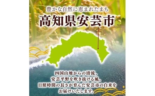 令和7年産 米 にこまる 5kg 10kg 15kg 30kg 60kg 定期便 3ヶ月 6ヶ月 数量限定 お米 白米 精米 新米 ごはん ご飯 高知県産 弁当 おにぎり 料理 令和7年度 R7年 先行予約 超早場米 粒ぞろい ふっくら 粘り 食味 四国 安芸平野 日照時間 清流 風 栄養 健康 美味しい 炊飯 食事 朝食 夕食 家庭用 贈答用 ギフト 安芸市 高知県