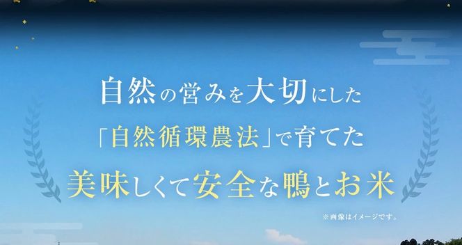 【ふるさと納税】「但馬鴨」鴨鍋セット 2人前 鴨鍋 カモ鍋 かも鍋 鴨 鴨肉 合鴨肉ロース もも モモ肉 鴨ガラ 鴨出汁 但馬鴨 つくね 鍋 セット お取り寄せ 冷凍【配送不可地域：離島】【1537908】兵庫県 新温泉町 送料無料