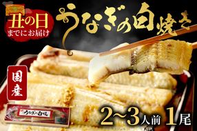 【土用の丑の日までに届く！（7月18～20日配送）】うなぎの白焼き2～3人前(1尾)　AN00082